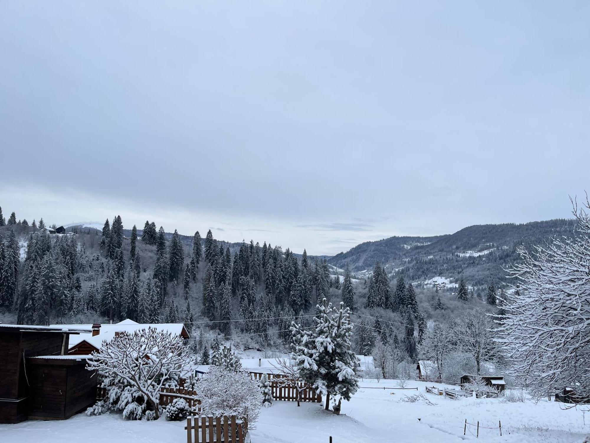 Hirska Vatra Villa Славске Екстериор снимка